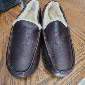 Mens Ugg Ascot Slippers